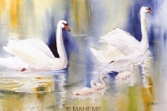 Animaux