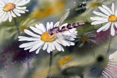 recredDSC02875