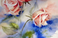 red_rec_DSC04036