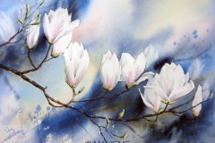 red_rec_DSC04355