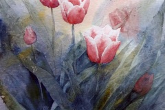 red_rec_P1050615