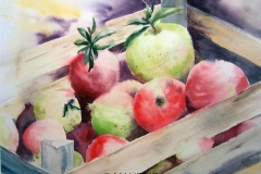 red_101_5437